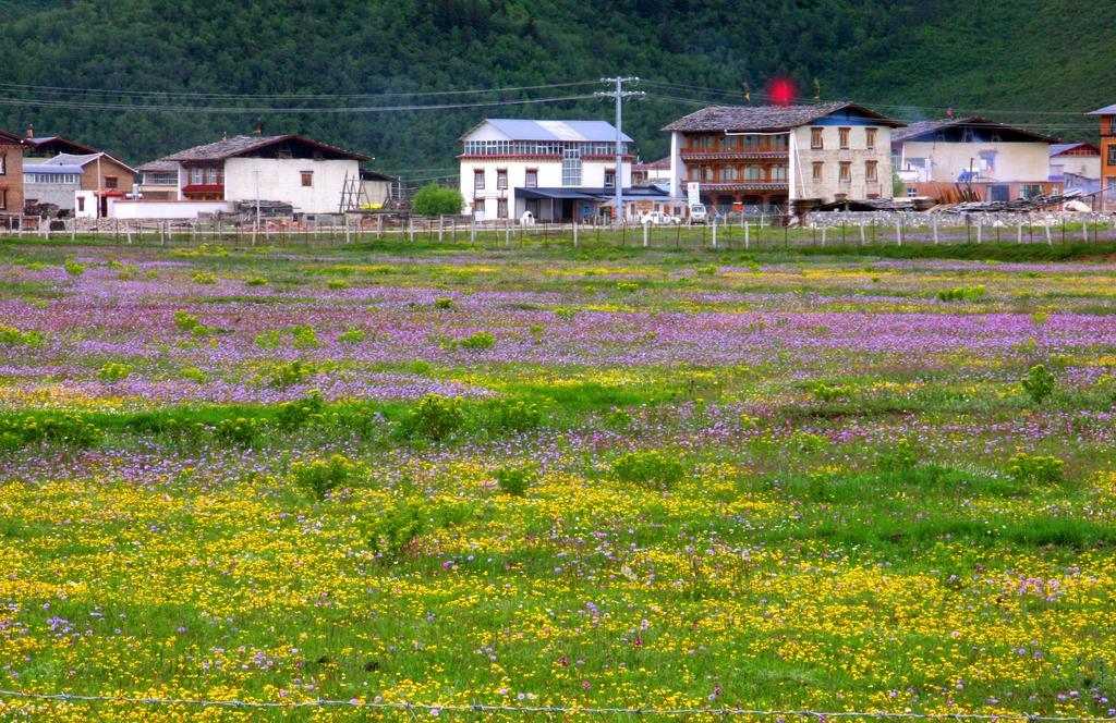 Shangri-La Lao Shay Youth Hostel Eksteriør billede