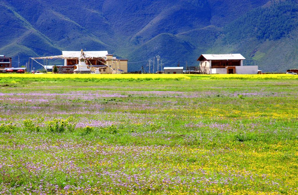Shangri-La Lao Shay Youth Hostel Eksteriør billede